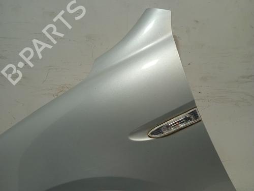 Left front fenders HYUNDAI ACCENT III (MC)  | BP16554028C41 