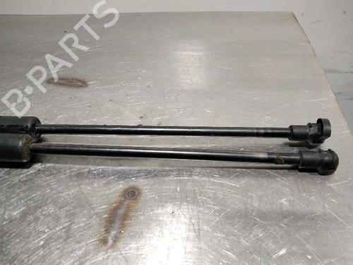 Tailgate lift support BMW 1 (F20)  | BP14355587C138