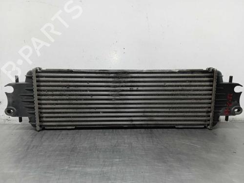 Intercooler NISSAN PRIMASTAR Van (X83) | BP10172127M30 - Image 4