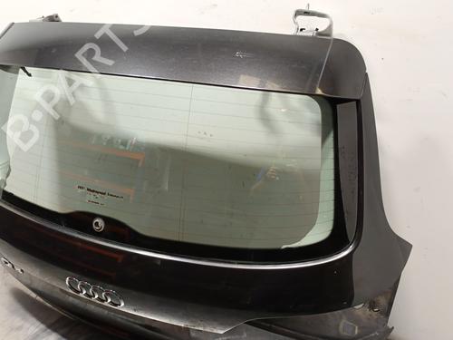Tailgate AUDI Q5 (8RB) 2.0 TDI quattro | BP29146827C6 