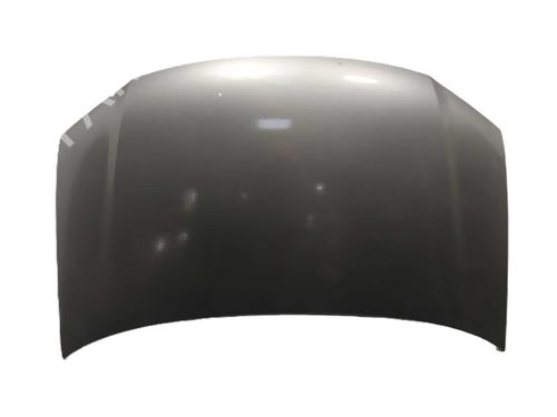 Motorhaube für Motorhaube 38179324 38179324