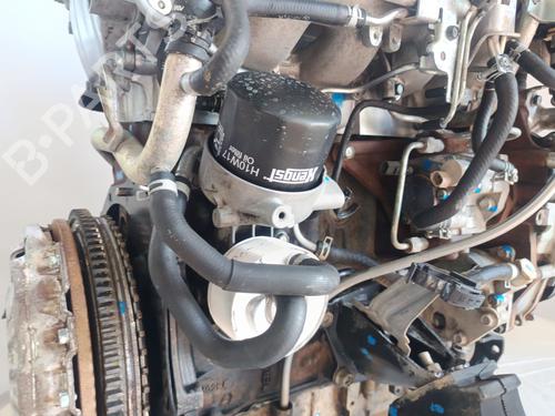 Engine NISSAN PATHFINDER III (R51) 2.5 dCi 4WD | BP32471091M1