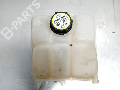 Expansion tank FORD C-MAX II (DXA/CB7, DXA/CEU) [2010-2019]  10774575