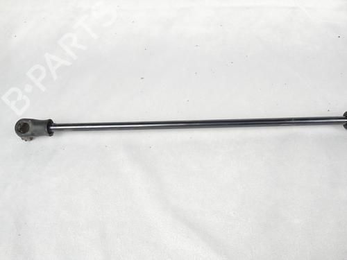 Hood lift support OPEL VECTRA C GTS (Z02) 1.9 CDTI (F68) | BP14350426C139 