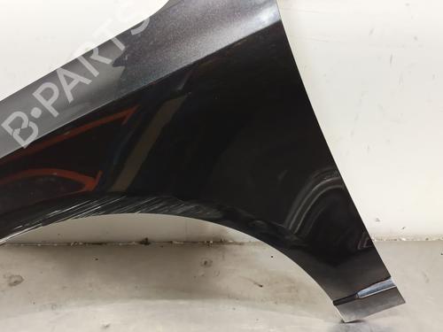 Left front fenders AUDI Q5 (8RB) 2.0 TDI quattro | BP29123844C41 