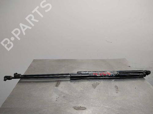 Tailgate lift support FORD FIESTA VII (HJ, HF) 1.1 Ti-VCT 58 | CM