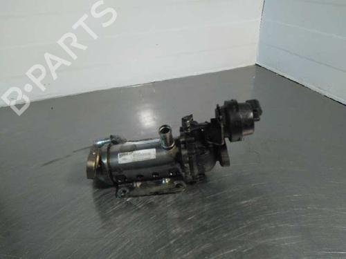 Egr RENAULT LAGUNA II Grandtour (KG0/1_)  | BP14353872M69 