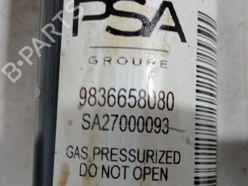 Left rear shock absorber PEUGEOT 2008 II (UD_, US_, UY_, UJ_, UR_, UC_) 1.5 BlueHDI 100 | BP29136009M18 