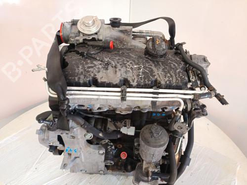 Engine VW GOLF V (1K1) 1.9 TDI | BP31775376M1 