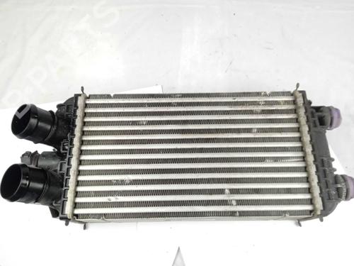 Used Intercooler Intercooler CITROËN C4 III (BA_, BB_, BC_) [2020-2026] 14351158 14351158