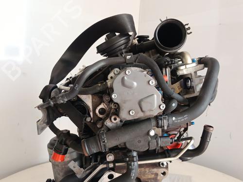 Engine SEAT LEON (1P1) 1.9 TDI | BP29638292M1