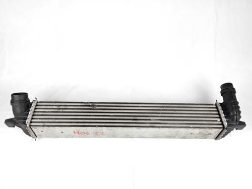Used Intercooler Intercooler RENAULT LAGUNA Coupe (DT0/1) 2.0 dCi (DT01, DT08, DT09, DT0K, DT12, DT1C, DT1D, DT1M,... (150 hp) 10190839 10190839