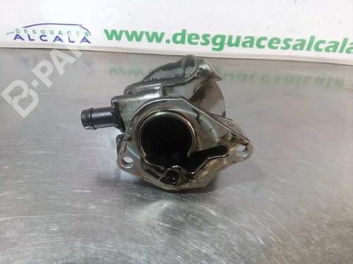 Vacuum pump RENAULT MEGANE II (BM0/1_, CM0/1_)  | BP10029590M80 