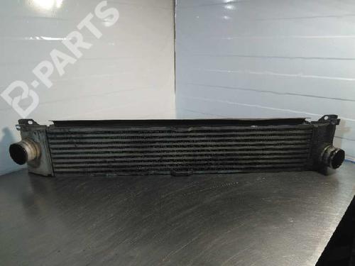 Intercooler FIAT DUCATO Van (250_) | BP10196758M30