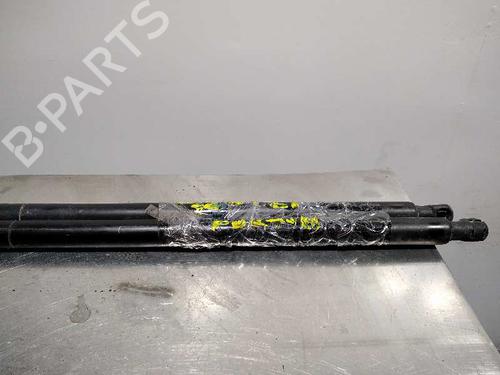 Tailgate lift support LAND ROVER RANGE ROVER SPORT I (L320) 3.0 D 4x4 | BP14348630C138 