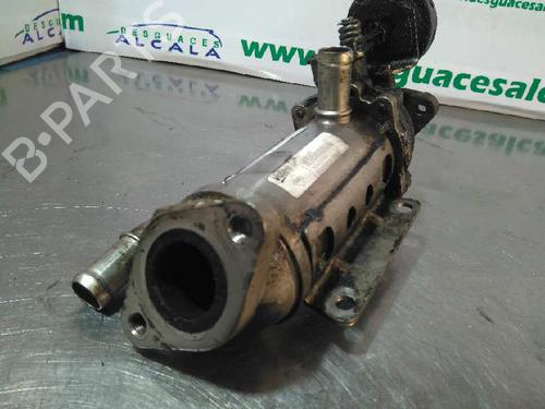 Egr RENAULT LAGUNA II Grandtour (KG0/1_)  | BP14353872M69 