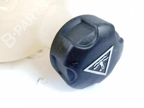 Expansion tank CITROËN DS4 (NX_)  | BP11041395C120 