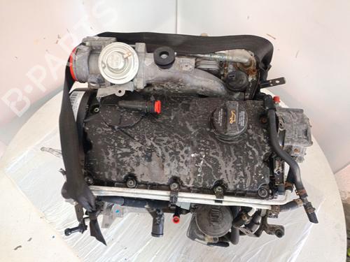 Engine VW GOLF V (1K1) 1.9 TDI | BP31775376M1 
