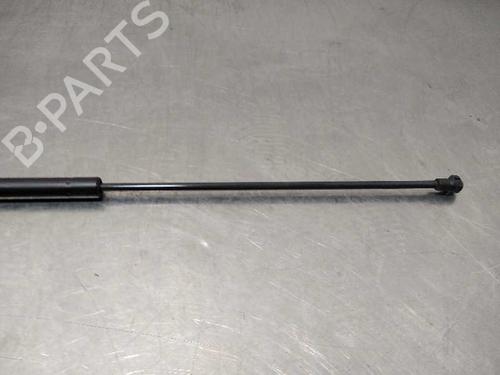 Hood lift support BMW 7 (E65, E66, E67)  | BP14348393C139 