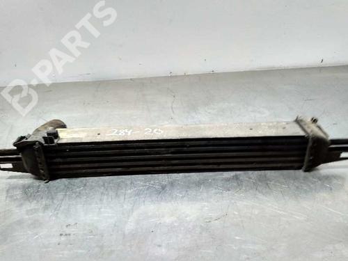 Intercooler CITROËN NEMO Box Body/MPV (AA_) [2008-2024]  9996232