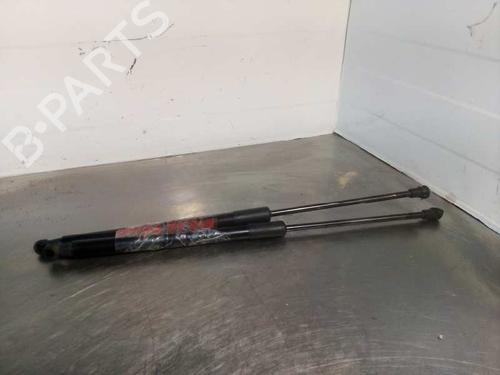 Tailgate lift support BMW 1 (F20) 116 d | BP14354475C138 