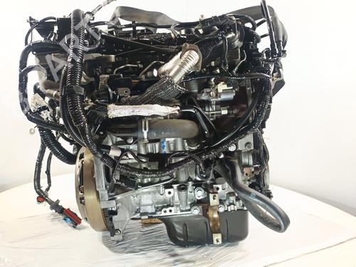 Engine FORD C-MAX II (DXA/CB7, DXA/CEU)  | BP29935651M1