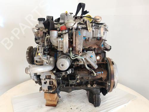 Engine NISSAN TERRANO II (R20) 3.0 Di 4WD | BP29570325M1 