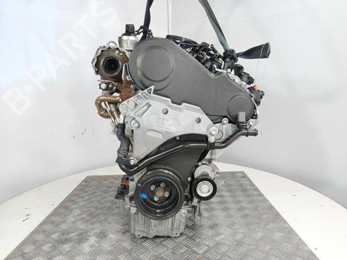 Used Engine Engine AUDI A3 (8P1) 2.0 TDI 16V (140 hp) 40534772 40534772