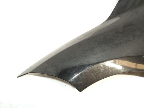 Left front fenders RENAULT MEGANE III Hatchback (BZ0/1_, B3_) 1.6 16V (BZ1B, BZ1H) | BP17495384C41 