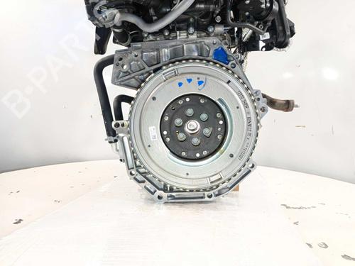 Engine NISSAN JUKE (F16_) DIG-T 117 | BP36887277M1  - Image 12