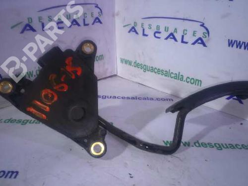 Pedal RENAULT CLIO III (BR0/1, CR0/1)  | BP9987513I4 