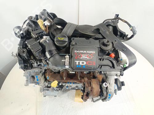 Engine FORD FUSION (JU_) 1.4 TDCi | BP32264582M1