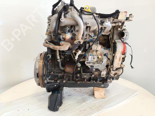 Engine NISSAN TERRANO II (R20) 3.0 Di 4WD | BP29570325M1 