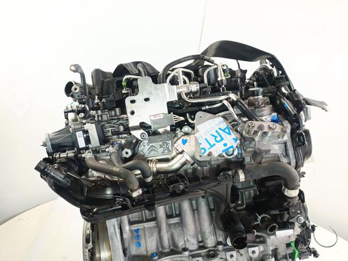 Engine FORD FOCUS IV (HN) 1.5 EcoBlue | BP31215848M1 