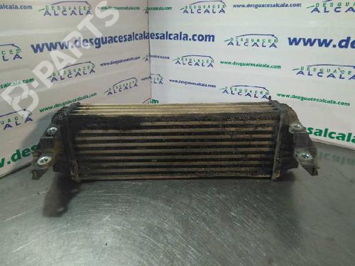 Intercooler FORD TOURNEO CONNECT  | BP9992489M30 