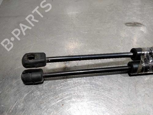 Hood lift support LAND ROVER RANGE ROVER EVOQUE (L538)  | BP14348540C139 
