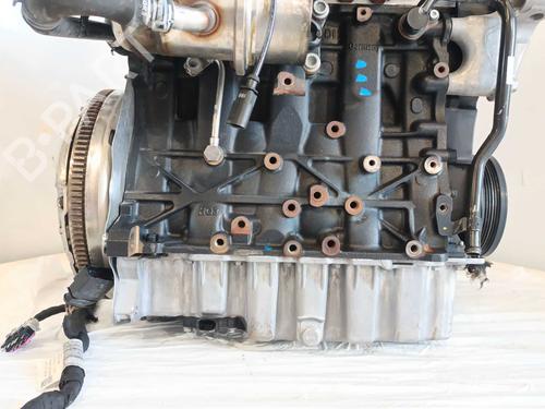 Engine AUDI A3 (8V1, 8VK) 1.6 TDI | BP34194766M1 - Image 5