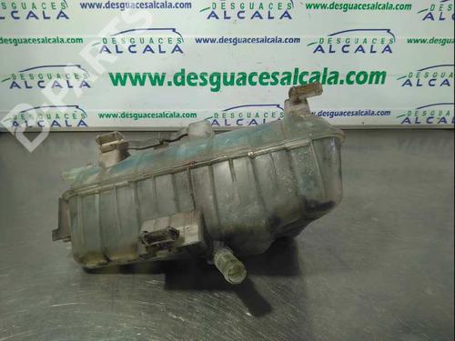 Expansion tank RENAULT KANGOO Express (FW0/1_)  | BP10958134C120 