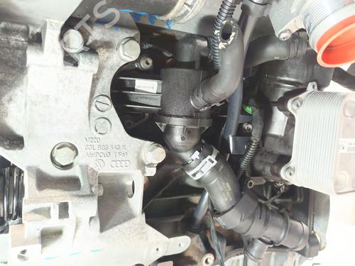 Engine VW POLO V (6R1, 6C1) 1.6 TDI | BP31137198M1 