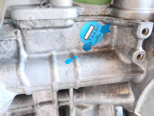Engine NISSAN JUKE (F15) | BP34006672M1 - Image 13
