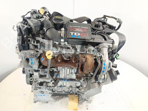 Engine FORD FUSION (JU_) 1.4 TDCi | BP32264582M1