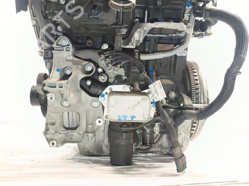 Moteur DACIA DOKKER Box Body/MPV 1.5 Blue dCi 95 (FEJL) | BP29973541M1