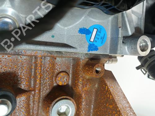 Engine FORD FIESTA VII (HJ, HF) 1.0 EcoBoost | BP34206997M1  - Image 14