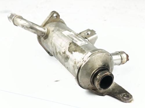 Egr LAND ROVER DISCOVERY III (L319) 2.7 TD 4x4 | BP29403454M69 