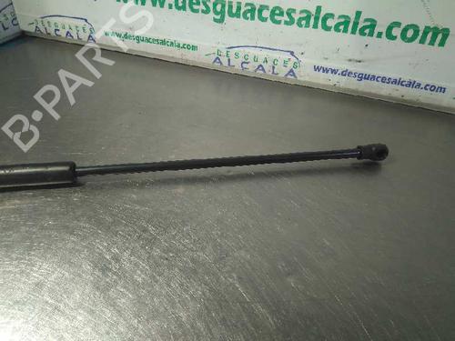 Gasfjeder motorhjelm VW PASSAT B5.5 (3B3)  | BP14353760C139 