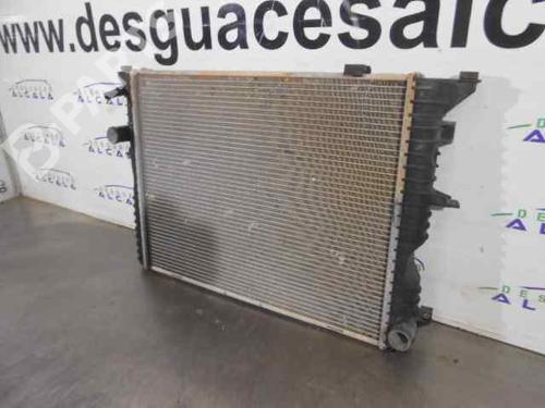 Water radiator LAND ROVER DEFENDER Station Wagon (L316)  | BP11248167M31 
