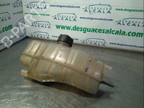 Ekpansionstank Ekpansionstank RENAULT CLIO III (BR0/1, CR0/1) [2005-2014] 9991334 9991334