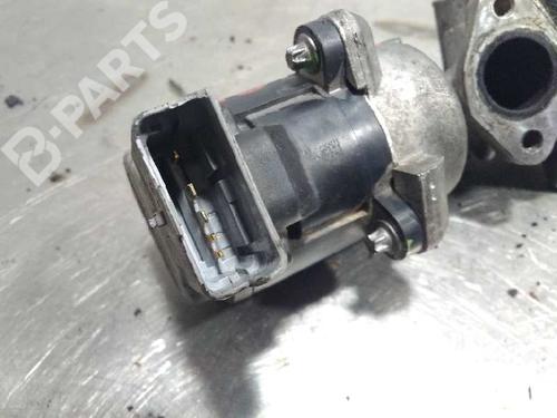 Egr LAND ROVER DISCOVERY III (L319) 2.7 TD 4x4 | BP10089710M69 
