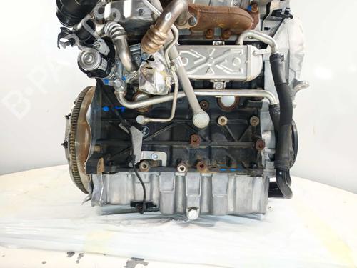 Engine SEAT IBIZA IV (6J5, 6P1) 1.6 TDI | BP34341468M1 - Image 5