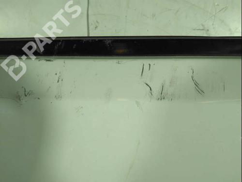 Left front door NISSAN PATHFINDER III (R51)  | BP9991209C2 